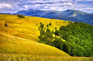 Fantastik güneşli hills sabah gökyüzü altında. Meado muhteşem manzarası