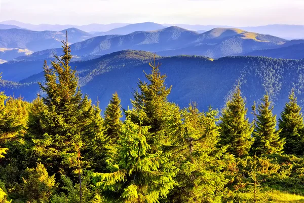 Fantastiche colline soleggiate illuminate dalla luce del sole — Foto Stock