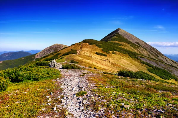 Fantastiche colline soleggiate sotto il cielo blu mattutino. Paesaggio drammatico — Foto Stock