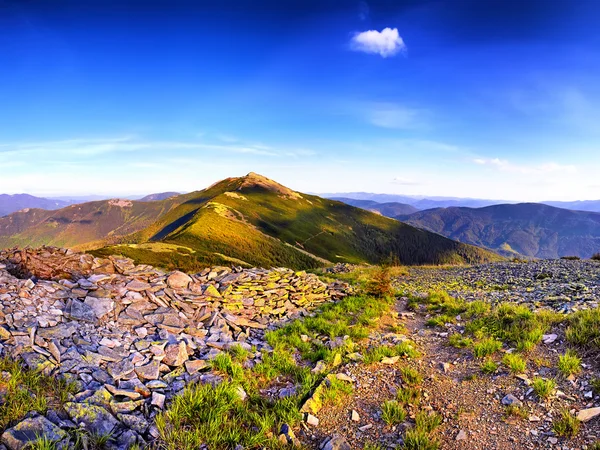 Bellissime colline verdi illuminate dalla calda luce del sole. Cielo blu splendente — Foto Stock