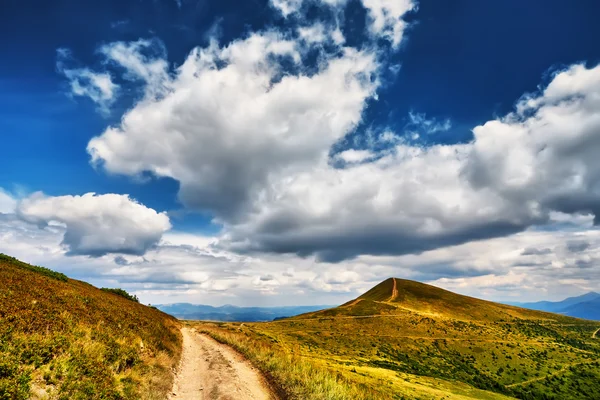 Árbol de paisaje y campo de hierba fresca verde bajo el cielo azul —  Fotos de Stock