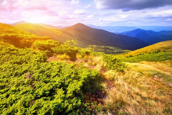Montanhas de paisagem e campo de grama fresca verde sob sk azul — Fotografia de Stock