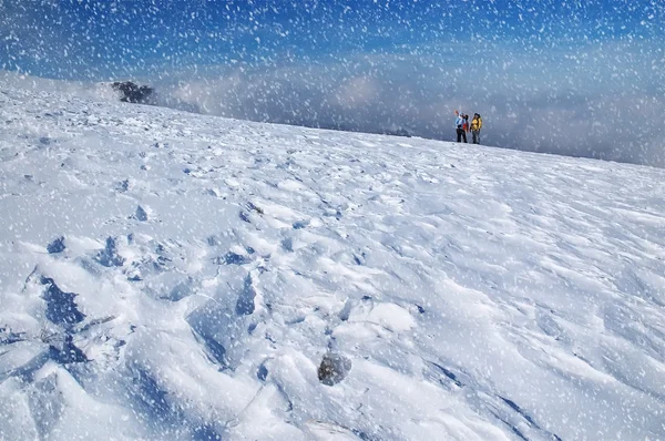 Vackert vinterlandskap med fallande snö. — Stockfoto
