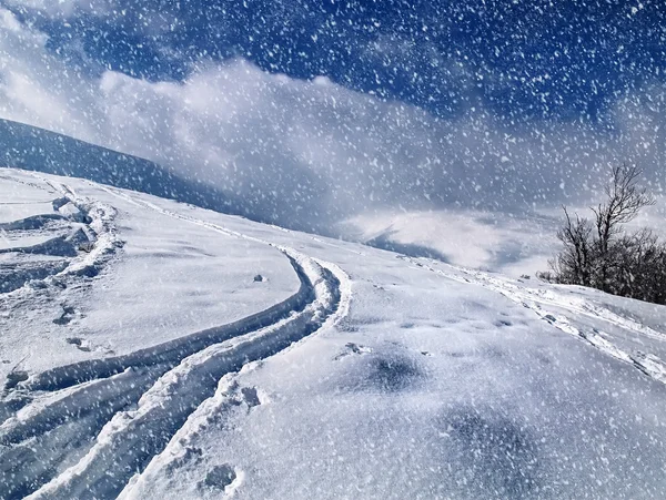 Vackert vinterlandskap med fallande snö. — Stockfoto