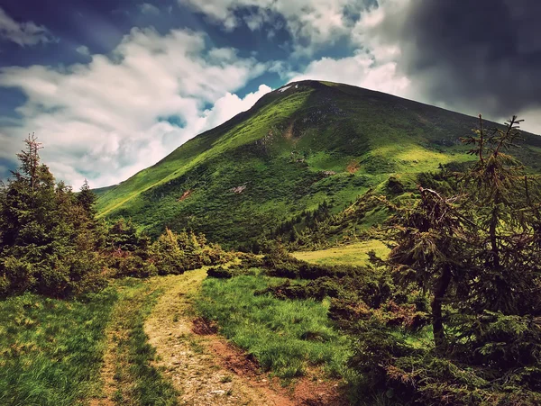 Top of the mountain — Stock Photo, Image