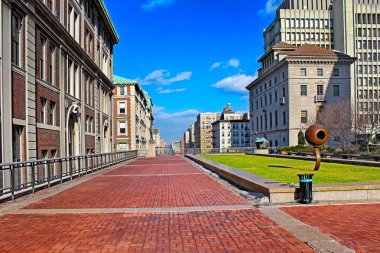 Mavi gökyüzü, New York'taki Columbia Üniversitesi