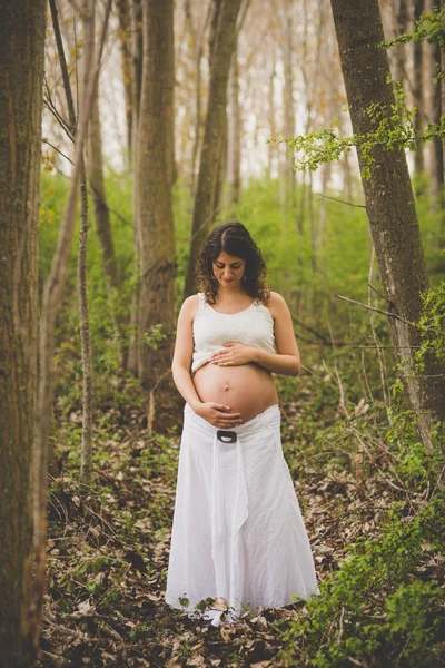 Zwangere vrouw in het bos — Stockfoto