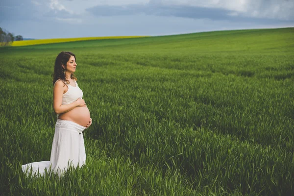 Zwangere vrouw in groene veld — Stockfoto