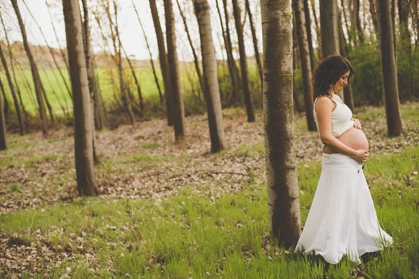 Femme enceinte dans la forêt Image En Vente