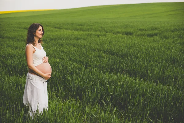 Femme enceinte dans un champ vert Images De Stock Libres De Droits