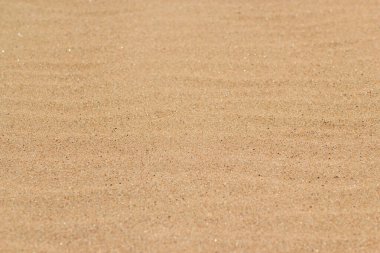 Kum dokusu. Kumsal arkaplan, üst manzara