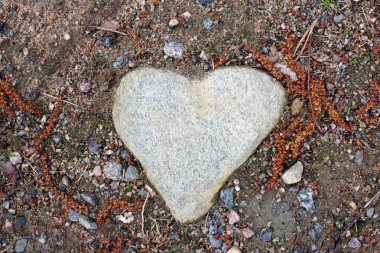 kalp şeklinde taş