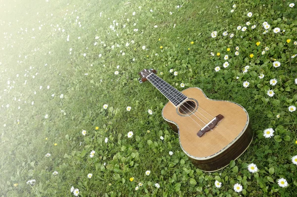 Ukulele bahar rüya