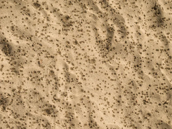 Gotas de lluvia en la playa de arena — Foto de Stock