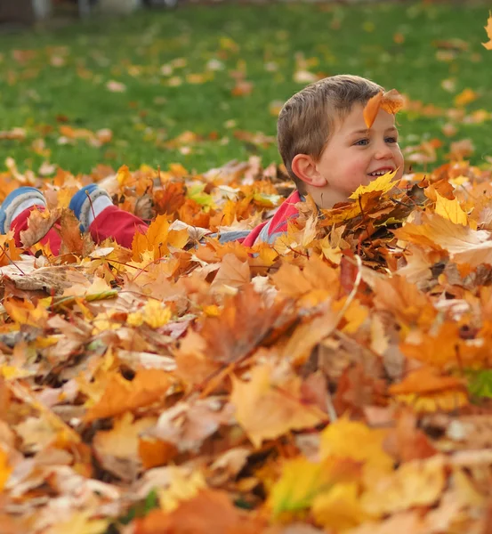 Мальчик в куче листьев — стоковое фото