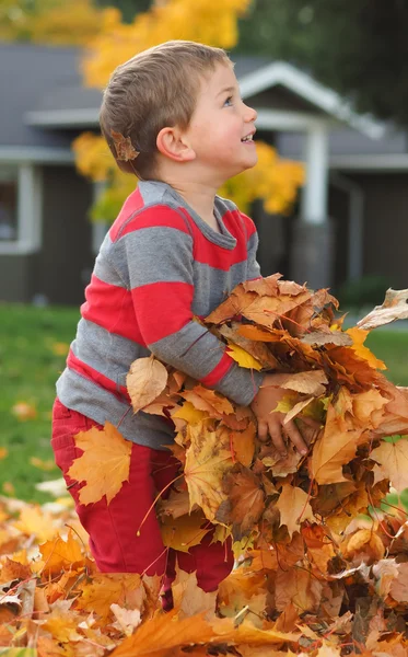Chlapec hrát s opadá listí — Stock fotografie