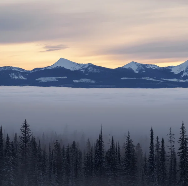 Winter landscape — Stock Photo, Image