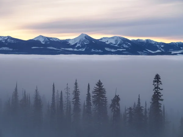 Winter landscape — Stock Photo, Image