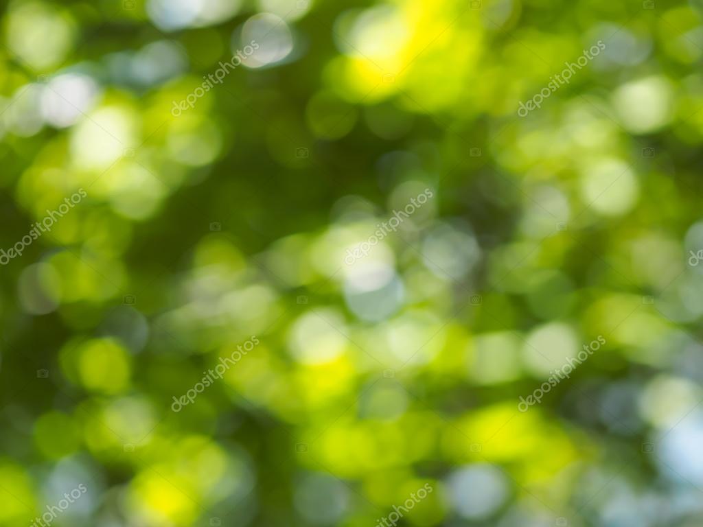 Blurred leaves background Stock Photo by ©bradcalkins 74376141