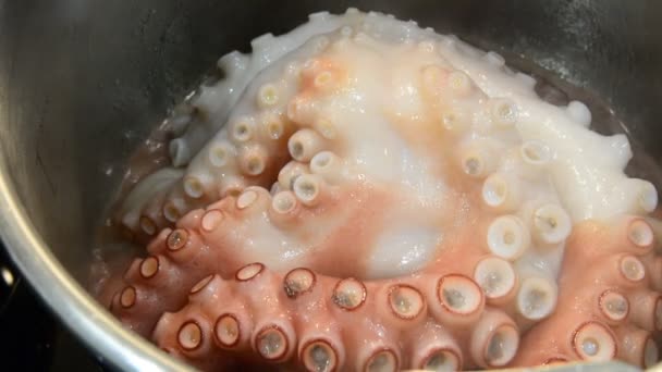 Pulpo cocinando en la olla — Vídeo de stock