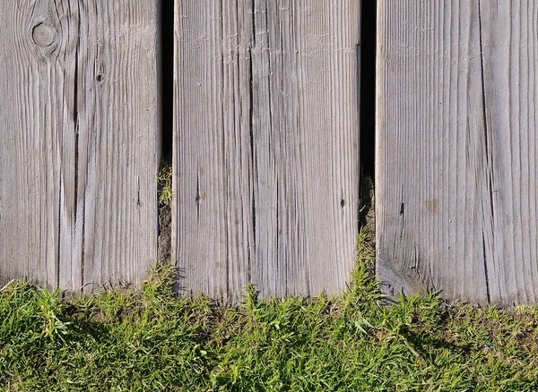 Gros plan de la clôture en bois avec herbe verte — Photo