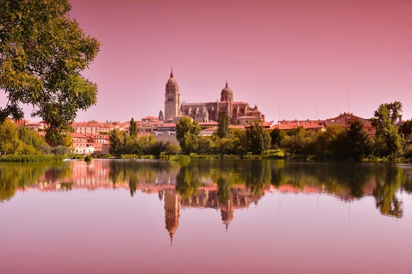 Krásná krajina se slavnou katedrálou Salamanca ve Španělsku — Stock fotografie