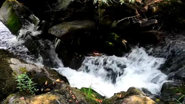 Wasser im Fluss — Stockvideo