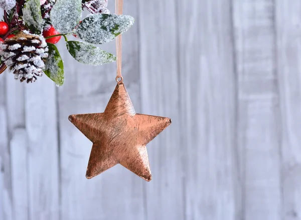 Weihnachtsstern hängt an Stechpalme. — Stockfoto