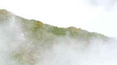 Tepenin kapsayan sis