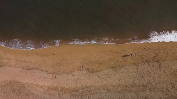 Вид Воздуха Побережье Волны Астурии Испания Человек Гуляющий Пляжу — стоковое видео