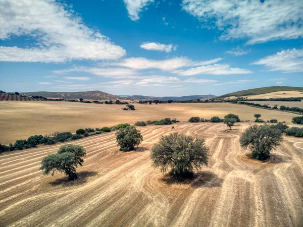 มมองทางอากาศของสนามเพาะปล กใน Castilla Mancha สเปน — ภาพถ่ายสต็อก