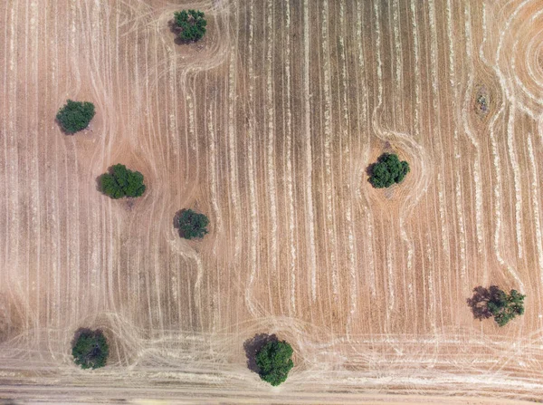 スペインのカスティーリャ マンチャ州の耕作地の空中写真 — ストック写真