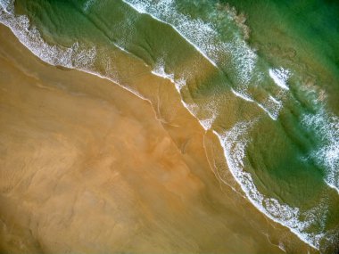 Aerial view of El Palmar beach in Vejer de la Frontera, Cadiz in Spain clipart