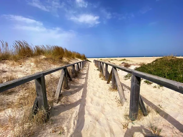 Sanddyner Som Ger Tillgång Till Stranden Palmar Vejar Frontera Cadiz — Stockfoto