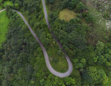 İspanya 'nın Asturias kentindeki bir ormandan geçen taşra yolunun hava görüntüsü..