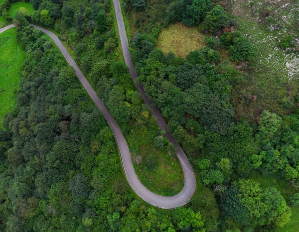 Vista Aérea Una Carretera Provincial Que Pasa Por Bosque Asturias — Foto de Stock