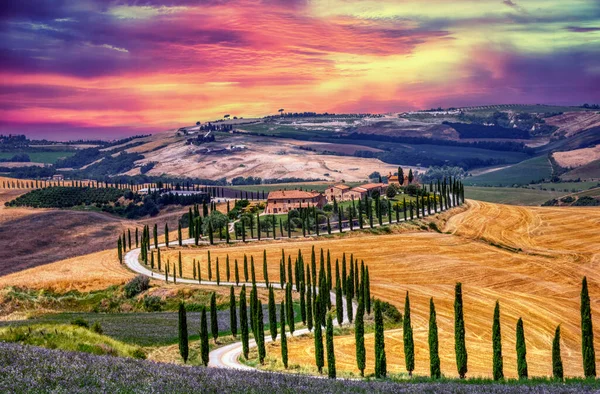 Tuscany Italy July 2018 Cypress Trees Meadow Typical Tuscan House — Stock Photo, Image