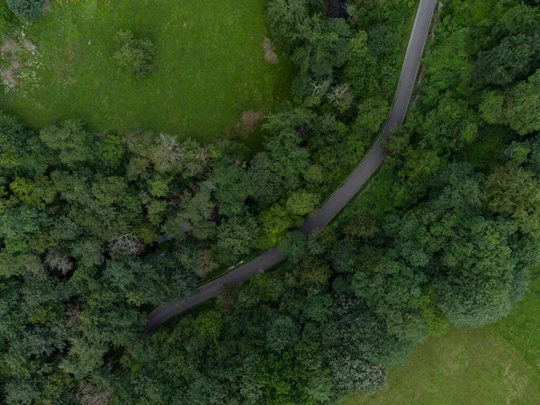 Flybilde Provinsvei Som Går Gjennom Skog Asturias Spania – stockfoto