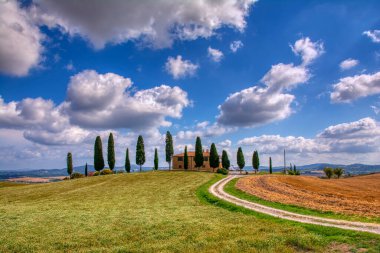 Tuscany, İtalya - 6 Temmuz 2018: Selvi ağaçları ve tipik Toskana ile çayır, Val d'Orcia, İtalya - Tuscany ev