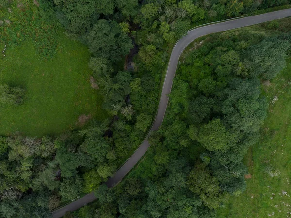 Flybilde Provinsvei Som Går Gjennom Skog Asturias Spania – stockfoto