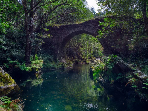 Antico Ponte Romano Sul Fiume Polea Nel Comune Villayon Asturie — Foto Stock