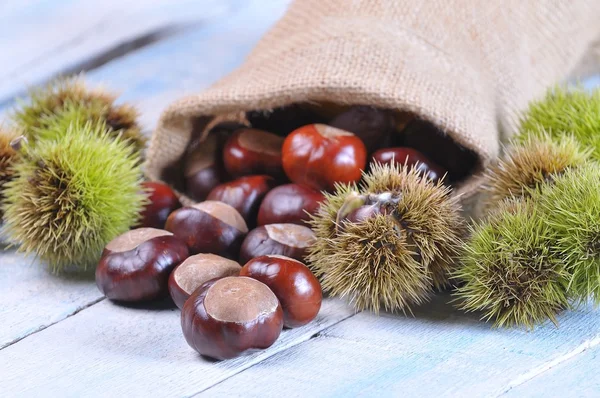 Chestnuts. — Stock Photo, Image