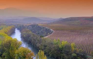 Vineyards in La Rioja, Spain clipart