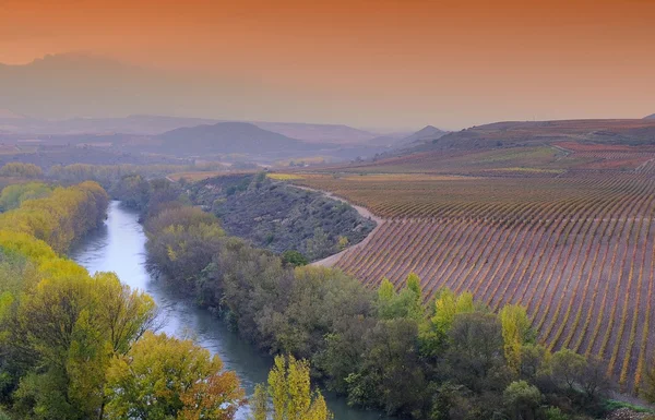 Szőlőültetvények, La Rioja, Spanyolország — Stock Fotó