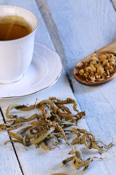 Manzanilla y té . —  Fotos de Stock