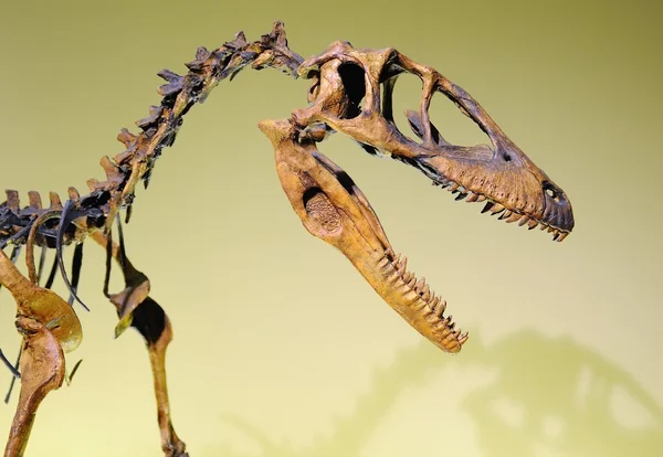 Jurassischer Dinosau — Stockfoto