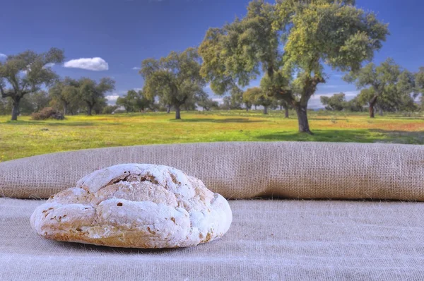 Bread. — Stock Photo, Image