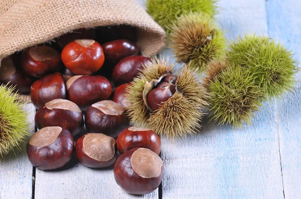 Castanhas . — Fotografia de Stock