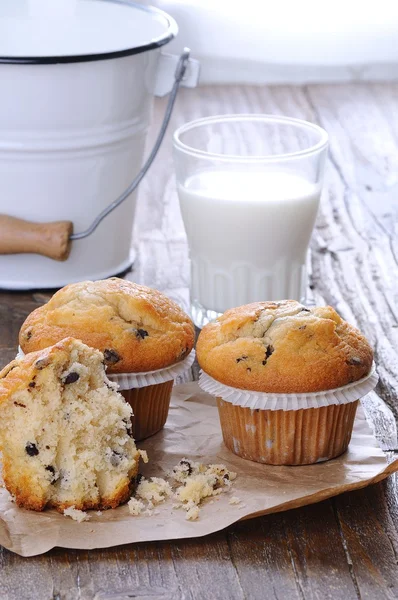 Muffins. — Stockfoto