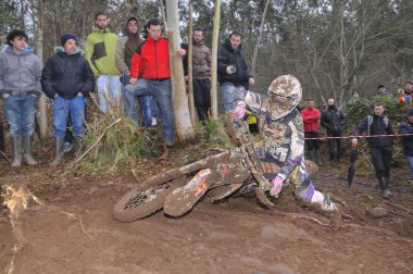 İspanya Şampiyonası çapraz ülke